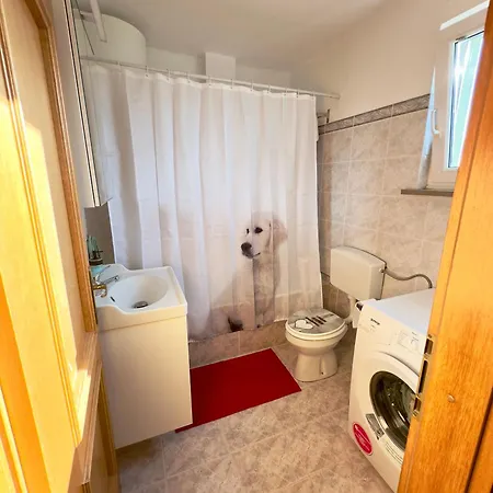 Apartma Edi *
