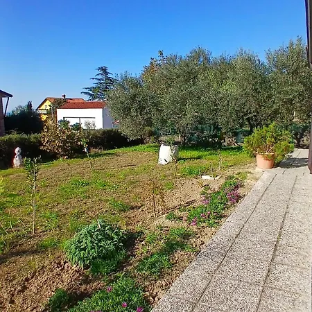 Apartma Edi Koper